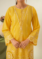AYAT EMBROIDERED 3PC